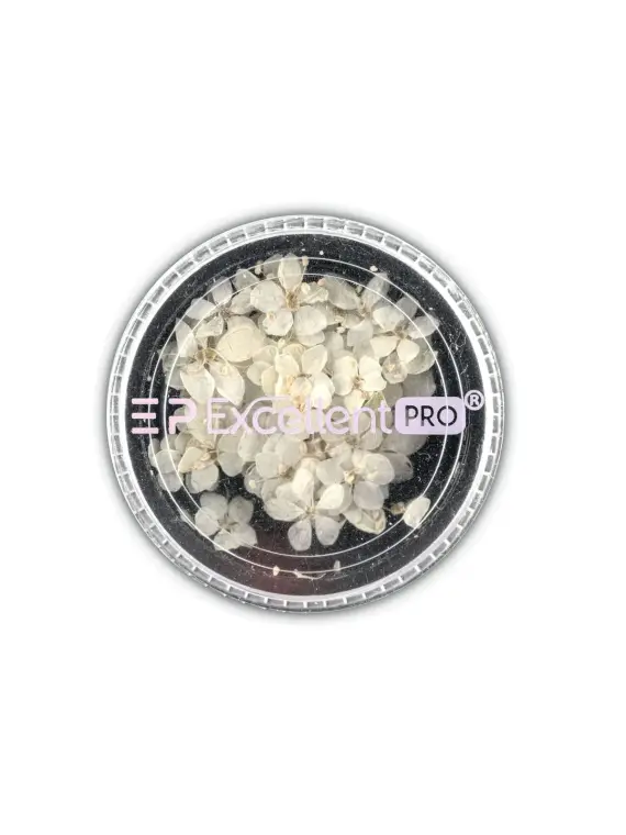 Excellent PRO Deco Dry Flowers 50pcs 004