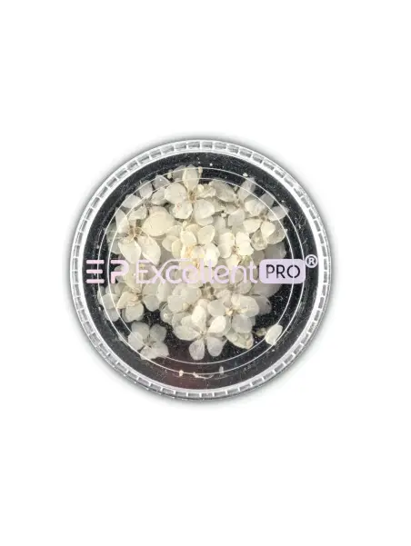 Excellent PRO Deco Dry Flowers 50pcs 004