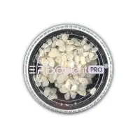 Excellent PRO Deco Dry Flowers 50pcs 004
