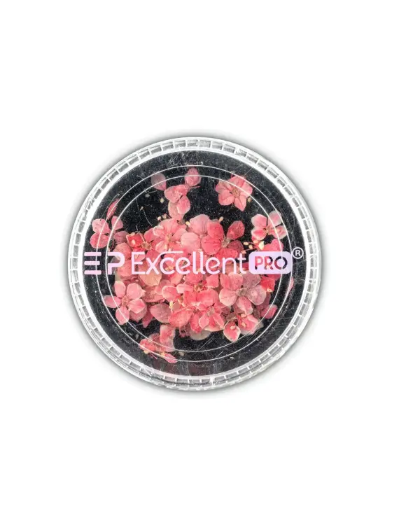Excellent PRO Deco Dry Flowers 50pcs 008