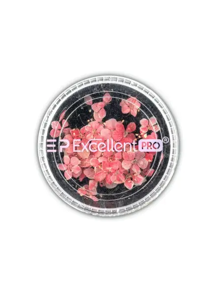 Excellent PRO Deco Dry Flowers 50pcs 008