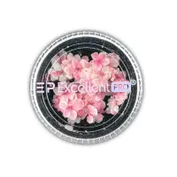 Excellent PRO Deco Dry Flowers 50pcs 011