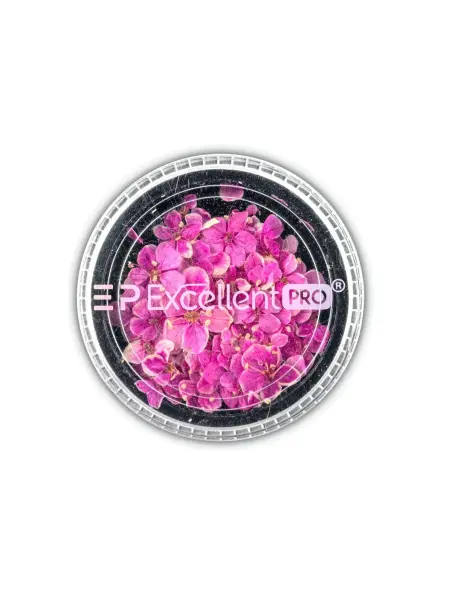Excellent PRO Deco Dry Flowers 50pcs 012