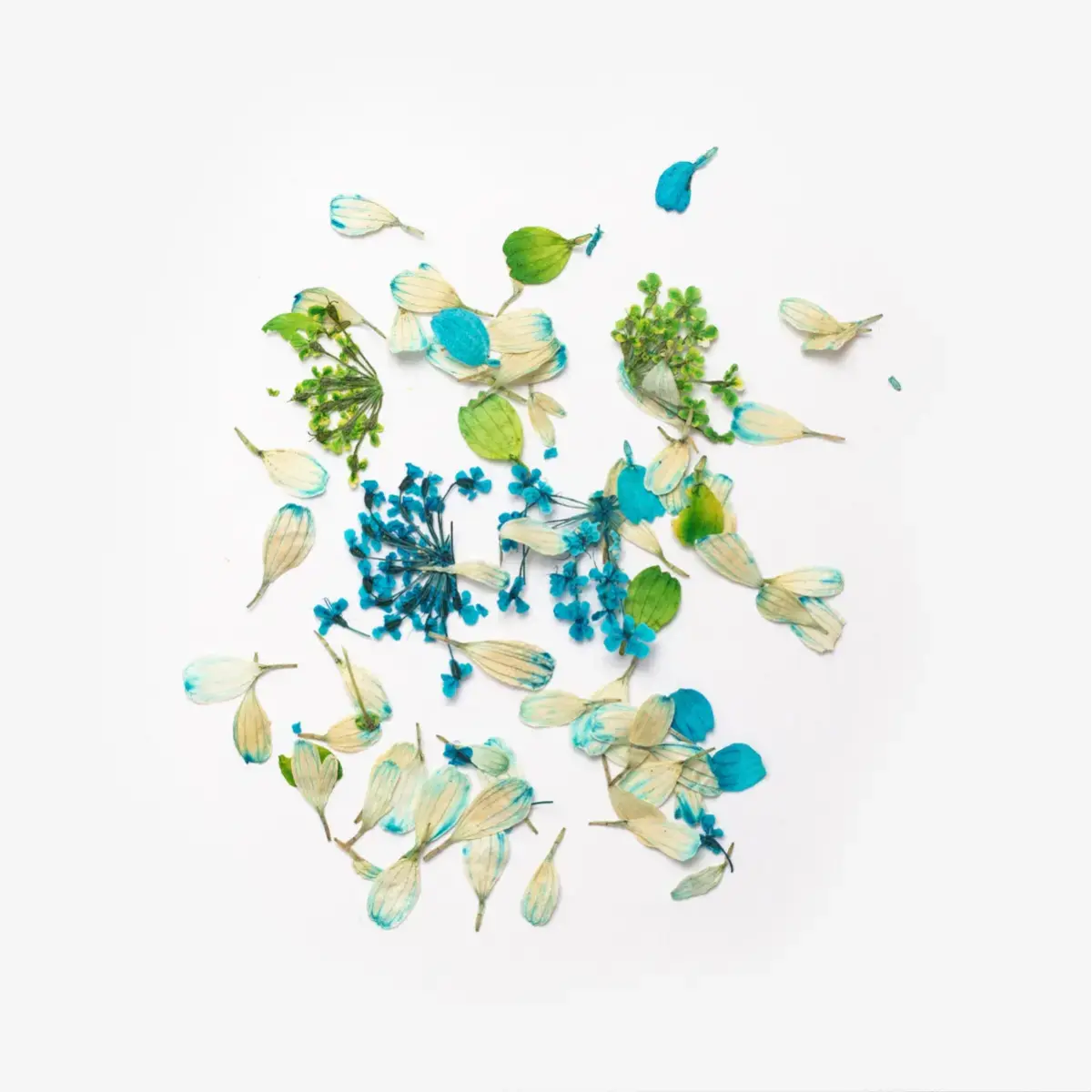 Semilac Flower Flakes Spring Meadow