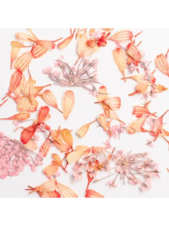 Semilac Flower Flakes Coral Blossom