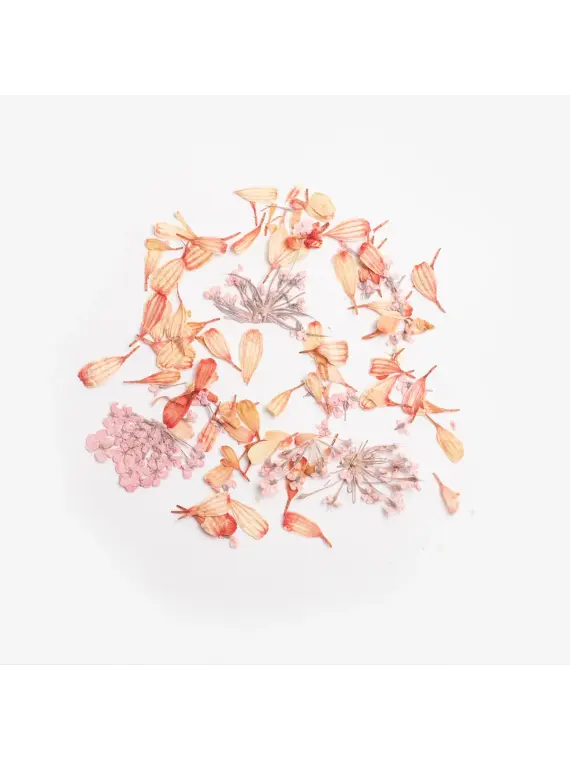 Semilac Flower Flakes Coral Blossom