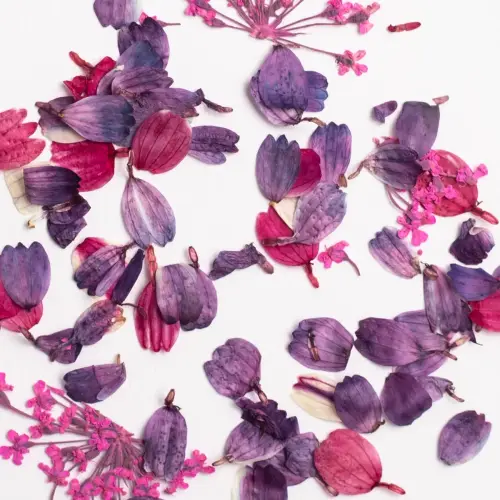 Semilac Flower Flakes Wild Orchid