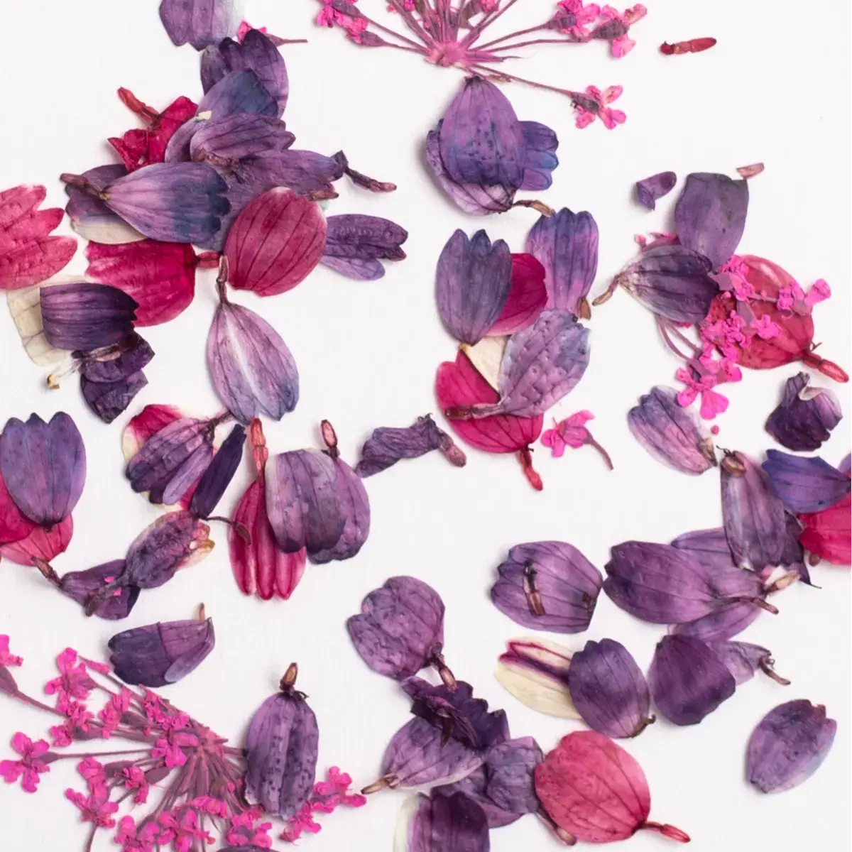 Semilac Flower Flakes Wild Orchid