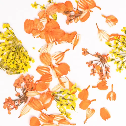 Semilac Flower Flakes Golden Sunset