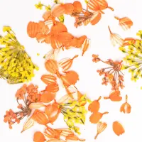 Semilac Flower Flakes Golden Sunset